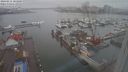 ./images/victoria/wharf/20240211/wharf20240211_103000.jpg