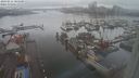 ./images/victoria/wharf/20240211/wharf20240211_104500.jpg