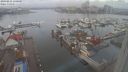 ./images/victoria/wharf/20240211/wharf20240211_110500.jpg
