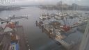 ./images/victoria/wharf/20240211/wharf20240211_111000.jpg