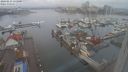 ./images/victoria/wharf/20240211/wharf20240211_111501.jpg