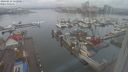 ./images/victoria/wharf/20240211/wharf20240211_112000.jpg