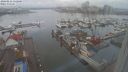 ./images/victoria/wharf/20240211/wharf20240211_112501.jpg