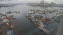 ./images/victoria/wharf/20240211/wharf20240211_113001.jpg