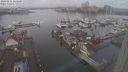 ./images/victoria/wharf/20240211/wharf20240211_113500.jpg