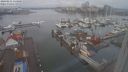 ./images/victoria/wharf/20240211/wharf20240211_114000.jpg