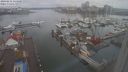 ./images/victoria/wharf/20240211/wharf20240211_114500.jpg