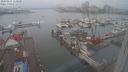 ./images/victoria/wharf/20240211/wharf20240211_115500.jpg