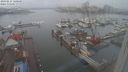 ./images/victoria/wharf/20240211/wharf20240211_120000.jpg