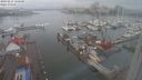 ./images/victoria/wharf/20240211/wharf20240211_120500.jpg