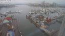 ./images/victoria/wharf/20240211/wharf20240211_121000.jpg