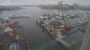 ./images/victoria/wharf/20240211/wharf20240211_121500.jpg