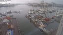 ./images/victoria/wharf/20240211/wharf20240211_122500.jpg