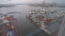 ./images/victoria/wharf/20240211/wharf20240211_123000.jpg