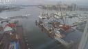 ./images/victoria/wharf/20240211/wharf20240211_124500.jpg