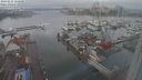 ./images/victoria/wharf/20240211/wharf20240211_125000.jpg