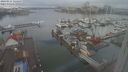 ./images/victoria/wharf/20240211/wharf20240211_125500.jpg