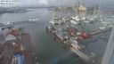 ./images/victoria/wharf/20240211/wharf20240211_131000.jpg