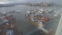 ./images/victoria/wharf/20240211/wharf20240211_142000.jpg