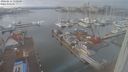 ./images/victoria/wharf/20240211/wharf20240211_150500.jpg