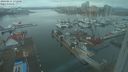 ./images/victoria/wharf/20240211/wharf20240211_172001.jpg