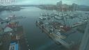 ./images/victoria/wharf/20240211/wharf20240211_172501.jpg