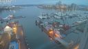./images/victoria/wharf/20240212/wharf20240212_071501.jpg
