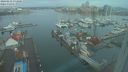 ./images/victoria/wharf/20240212/wharf20240212_073000.jpg