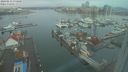 ./images/victoria/wharf/20240212/wharf20240212_073500.jpg
