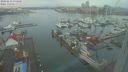 ./images/victoria/wharf/20240212/wharf20240212_074001.jpg