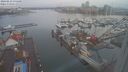 ./images/victoria/wharf/20240212/wharf20240212_075000.jpg