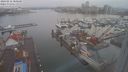 ./images/victoria/wharf/20240212/wharf20240212_080500.jpg