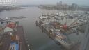 ./images/victoria/wharf/20240212/wharf20240212_081000.jpg