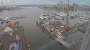 ./images/victoria/wharf/20240212/wharf20240212_082500.jpg