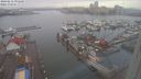 ./images/victoria/wharf/20240212/wharf20240212_091501.jpg