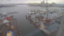 ./images/victoria/wharf/20240212/wharf20240212_092000.jpg