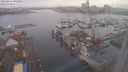 ./images/victoria/wharf/20240212/wharf20240212_093000.jpg