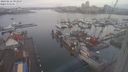 ./images/victoria/wharf/20240212/wharf20240212_094000.jpg
