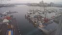 ./images/victoria/wharf/20240212/wharf20240212_094500.jpg