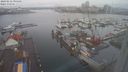 ./images/victoria/wharf/20240212/wharf20240212_095001.jpg