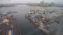 ./images/victoria/wharf/20240212/wharf20240212_095500.jpg