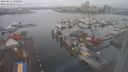./images/victoria/wharf/20240212/wharf20240212_100000.jpg