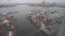 ./images/victoria/wharf/20240212/wharf20240212_100500.jpg
