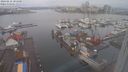 ./images/victoria/wharf/20240212/wharf20240212_101000.jpg