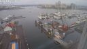 ./images/victoria/wharf/20240212/wharf20240212_101501.jpg
