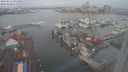 ./images/victoria/wharf/20240212/wharf20240212_104000.jpg