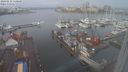 ./images/victoria/wharf/20240212/wharf20240212_110001.jpg