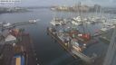 ./images/victoria/wharf/20240212/wharf20240212_111000.jpg
