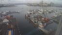 ./images/victoria/wharf/20240212/wharf20240212_112500.jpg