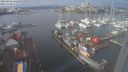 ./images/victoria/wharf/20240212/wharf20240212_115500.jpg